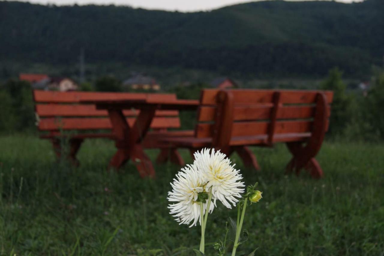 Poeme Ξενοδοχείο Sighetu Marmaţiei Εξωτερικό φωτογραφία